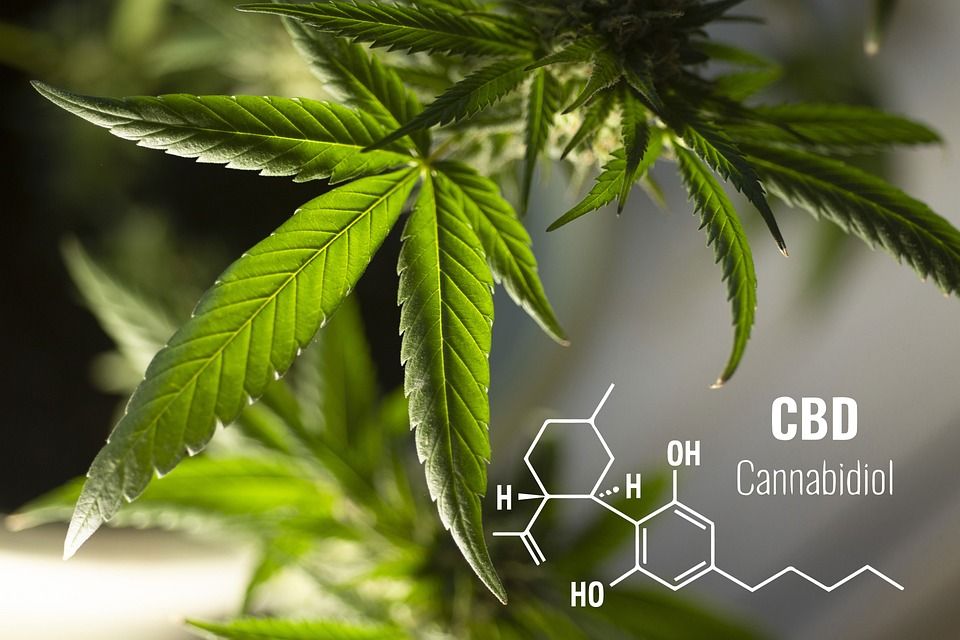 Les terpenes